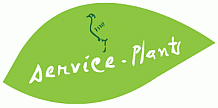 Service-Plants, inspiration, creativity and newness in mind, body and soul